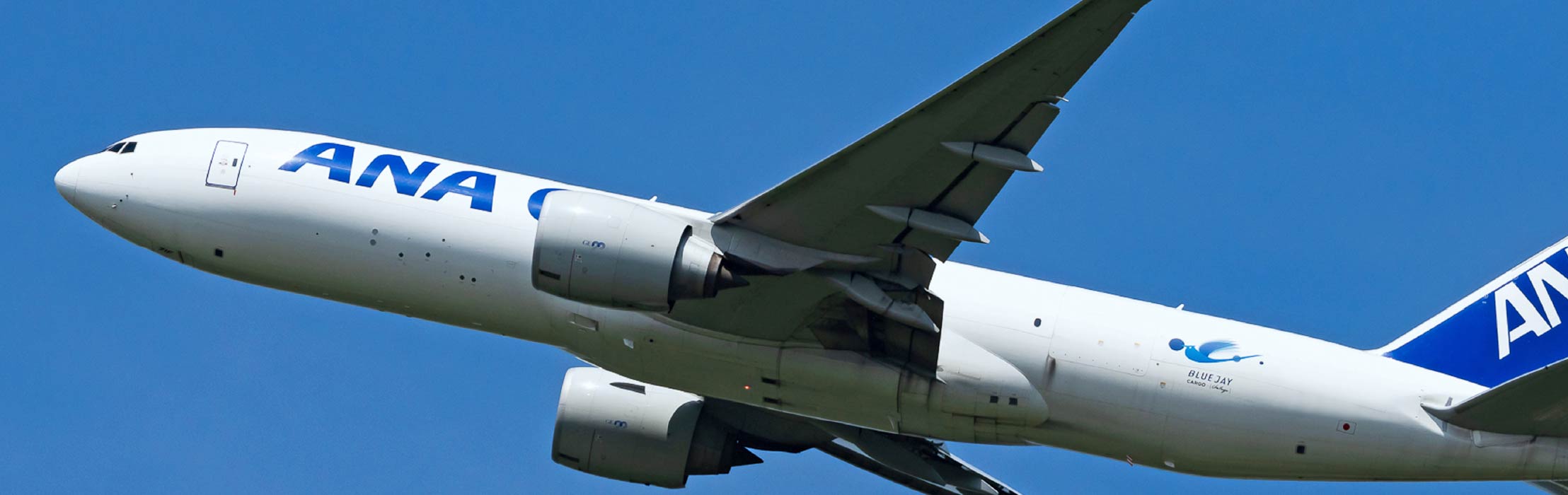 飛行中の貨物航空機
